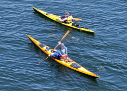 Paddla